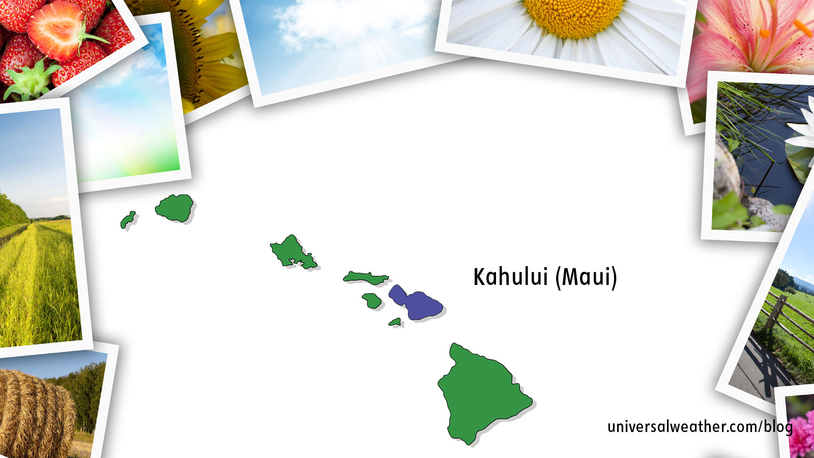 Top Operating Considerations for Kahului Maui (PHOG)