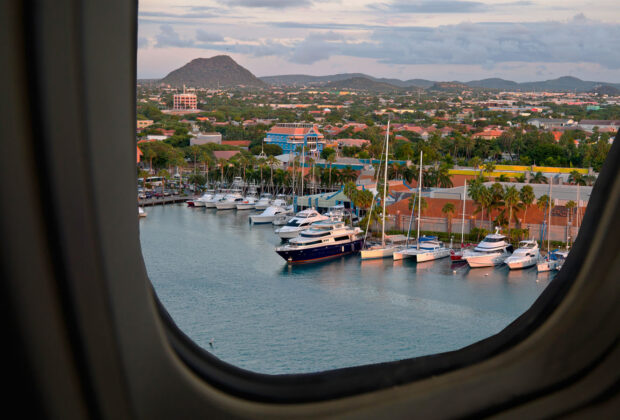 Business Aircraft Operations to Aruba: Catering, Cars, Pets & Guns