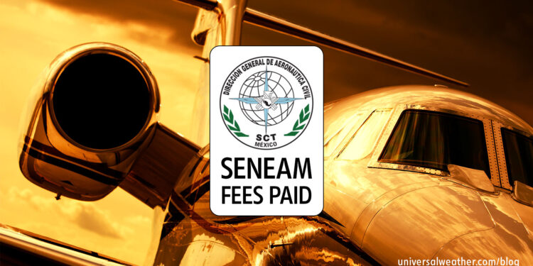 SENEAM Fees for Travel to or over Mexico – Part 2: Dealing with a SENEAM Suspension