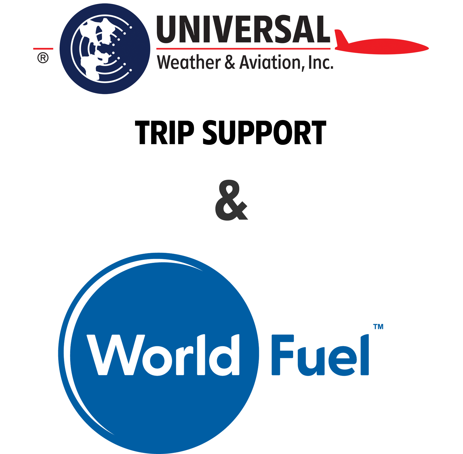 World Fuel Services Sale